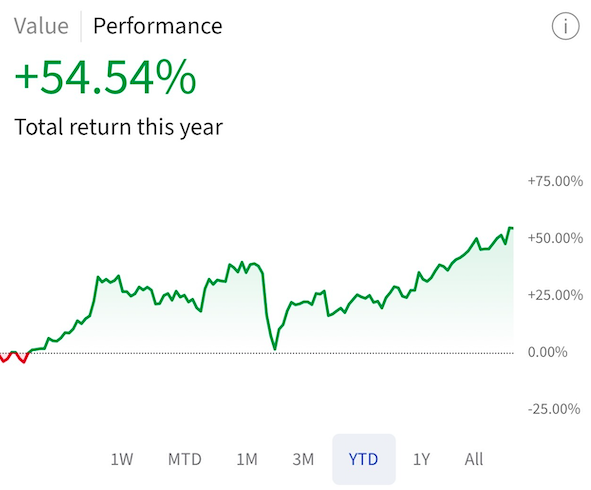 line chart showing 54.54% return this year